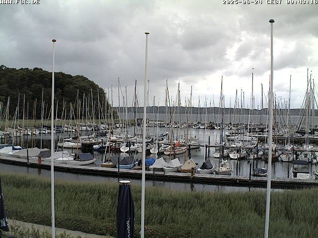 Camera Live Image