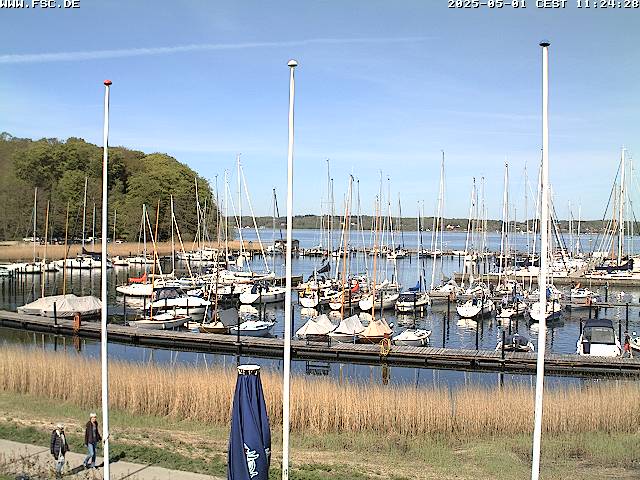 Camera Live Image